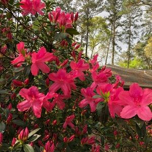 Meet your Posher, Kay